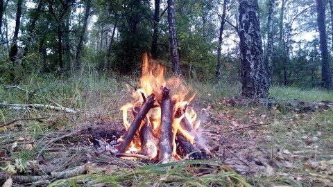 Ну, и костер