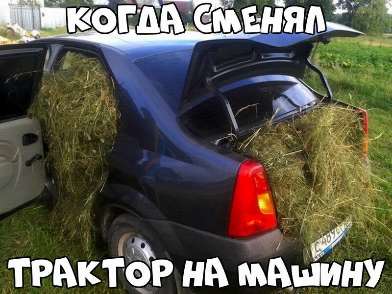 Автовсячина