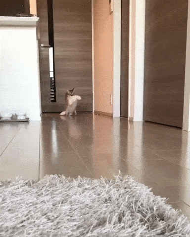 Принес добычу