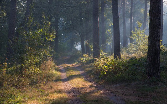 Красивые пейзажи