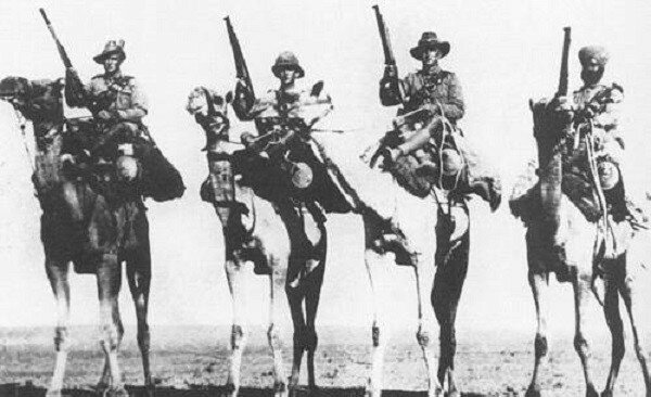 Верблюды в строю или верблюжья кавалерия