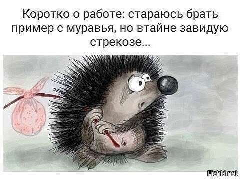 Ежик по травке бежит и хохочет