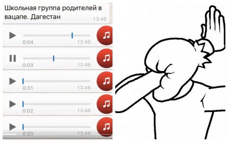 Вот что обсуждают родители школьников из Дагестана в WhatsApp. Запись разговоров реально шокирует!