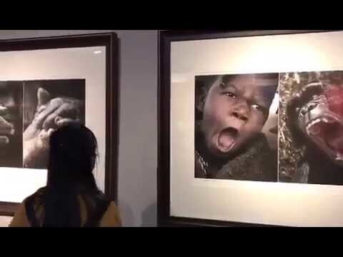 Китайскому музею после обвинений в расизме пришлось закрыть выставку фотограф...