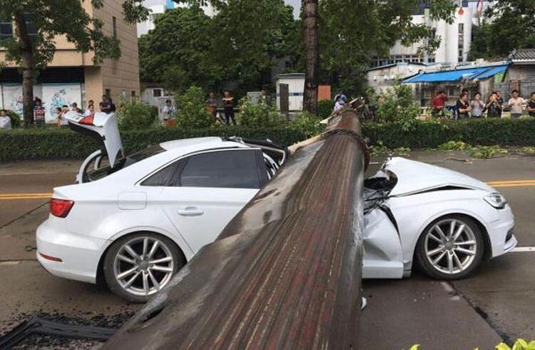 В Китае на автомобиль упал кран
