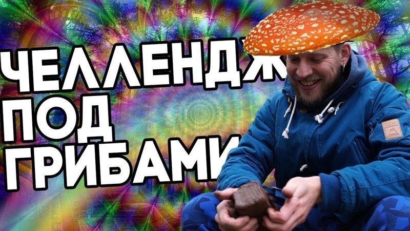 Грибы! Опасный кулинарный челлендж!