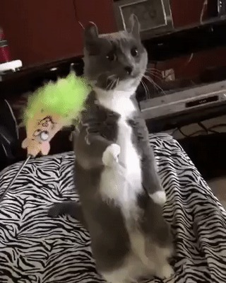 &quot;Да отстань же ты, я телевизор смотрю&quot;