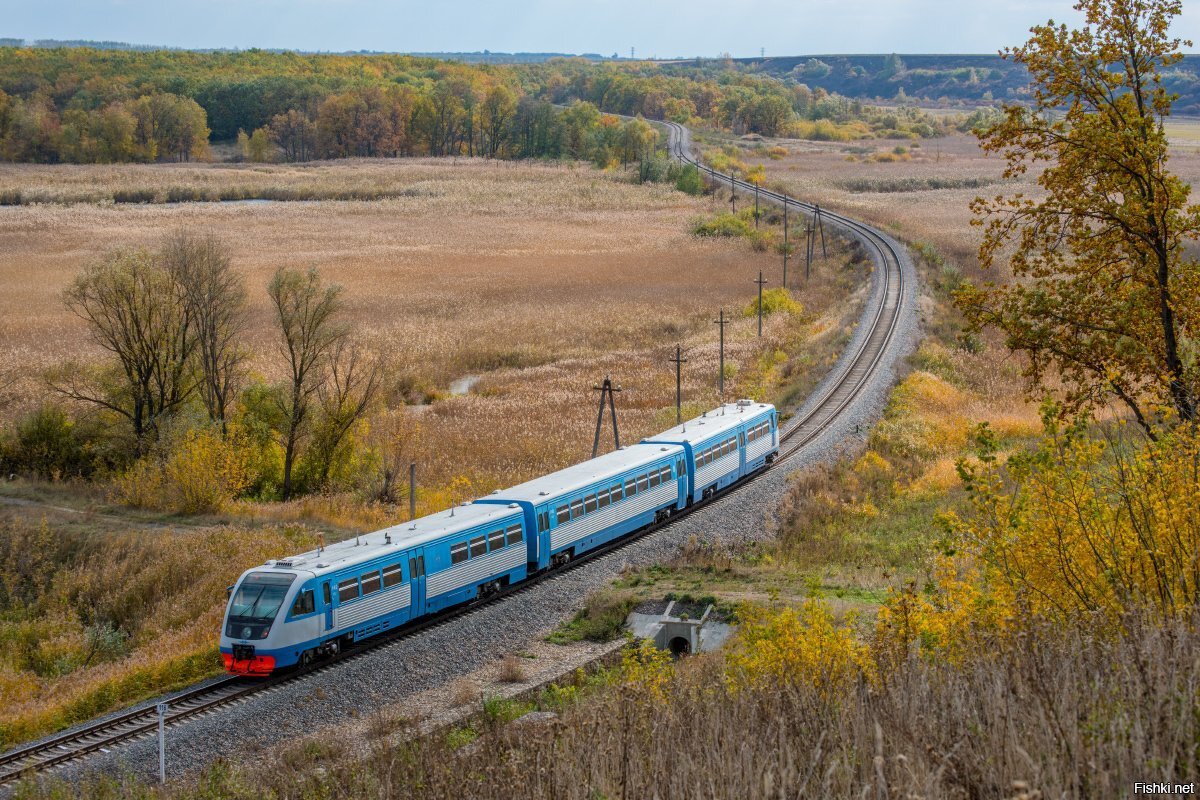 Спецы есть