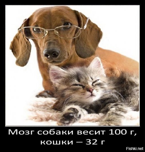 вот не знал