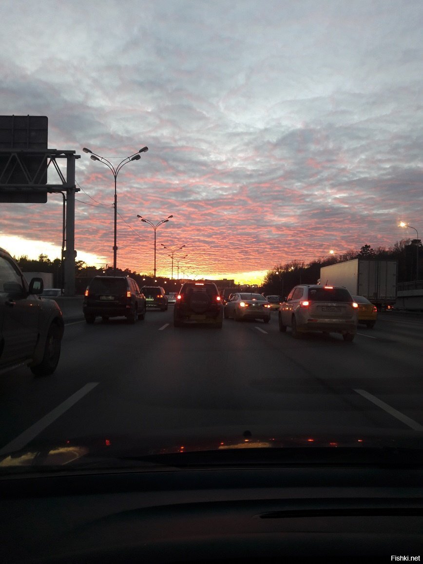 Туда идем мы, туда, где светит солнце