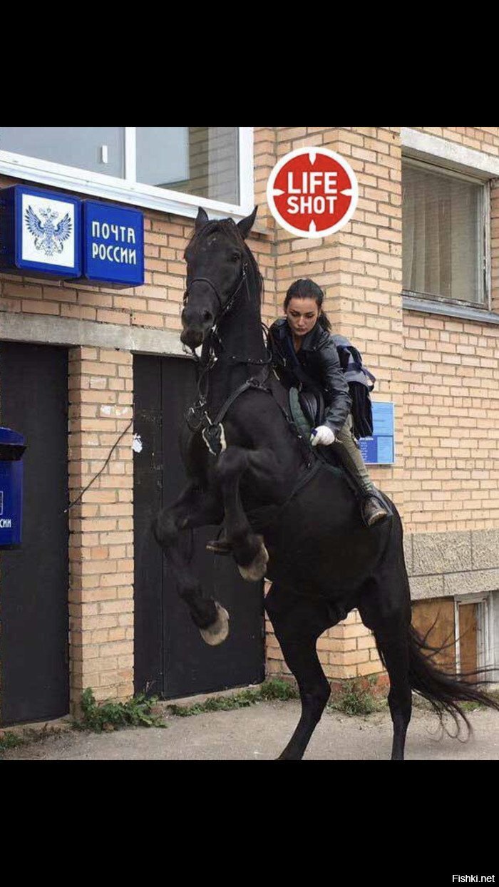 Почтальон Мария Рубцова, которая развозит посылки в Подмосковье на коне, стал...