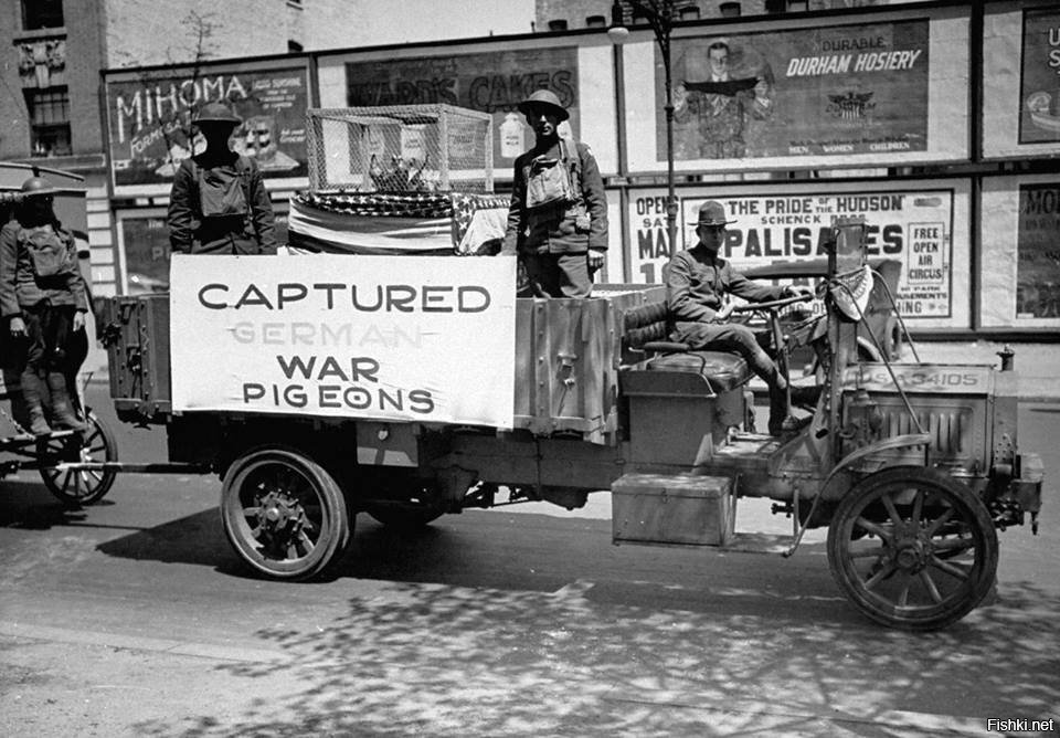 Надпись на грузовике: &quot;Захваченные немецкие боевые голуби&quot;