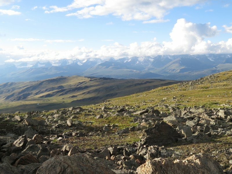 Экспедиция на Алтай. плато Укок, перевал Бугумуюз