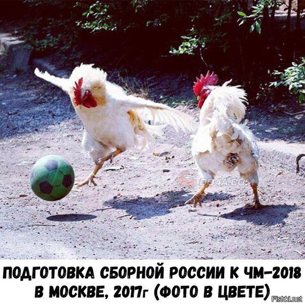 Солянка