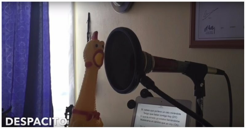 Резиновая кричащая курица поёт хит "Despacito" 