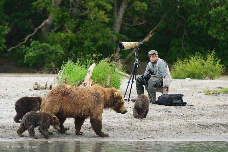 На медведя с фотоаппаратом!