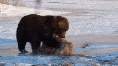 А мне и без вас весело