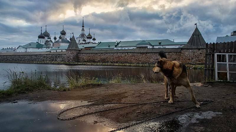 Архипелаг недоверия