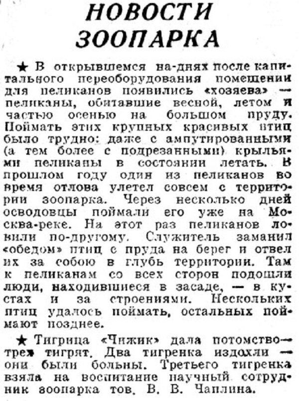 Хроника московской жизни. 1930-е. 29 ноября