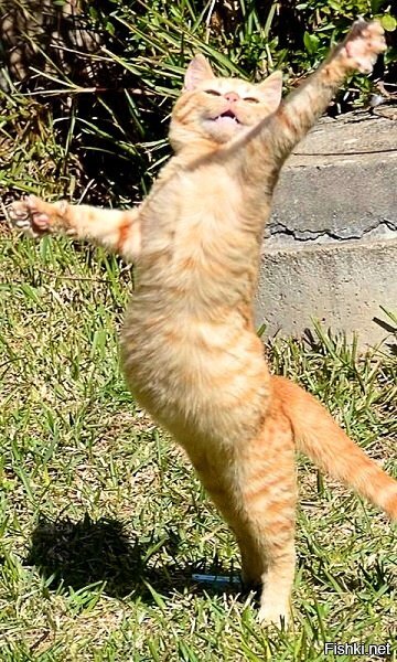 Бросай работу