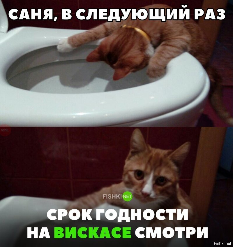 Жалко кицу...