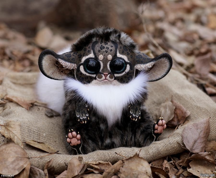 Да это ж гремлин до превращения