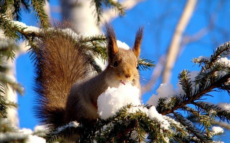 Волшебные картинки, которые поднимут настроение зимой!
