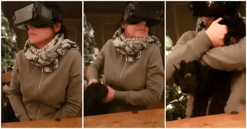 Никогда не попадайся под руку женщине с очками виртуальной реальности на голове