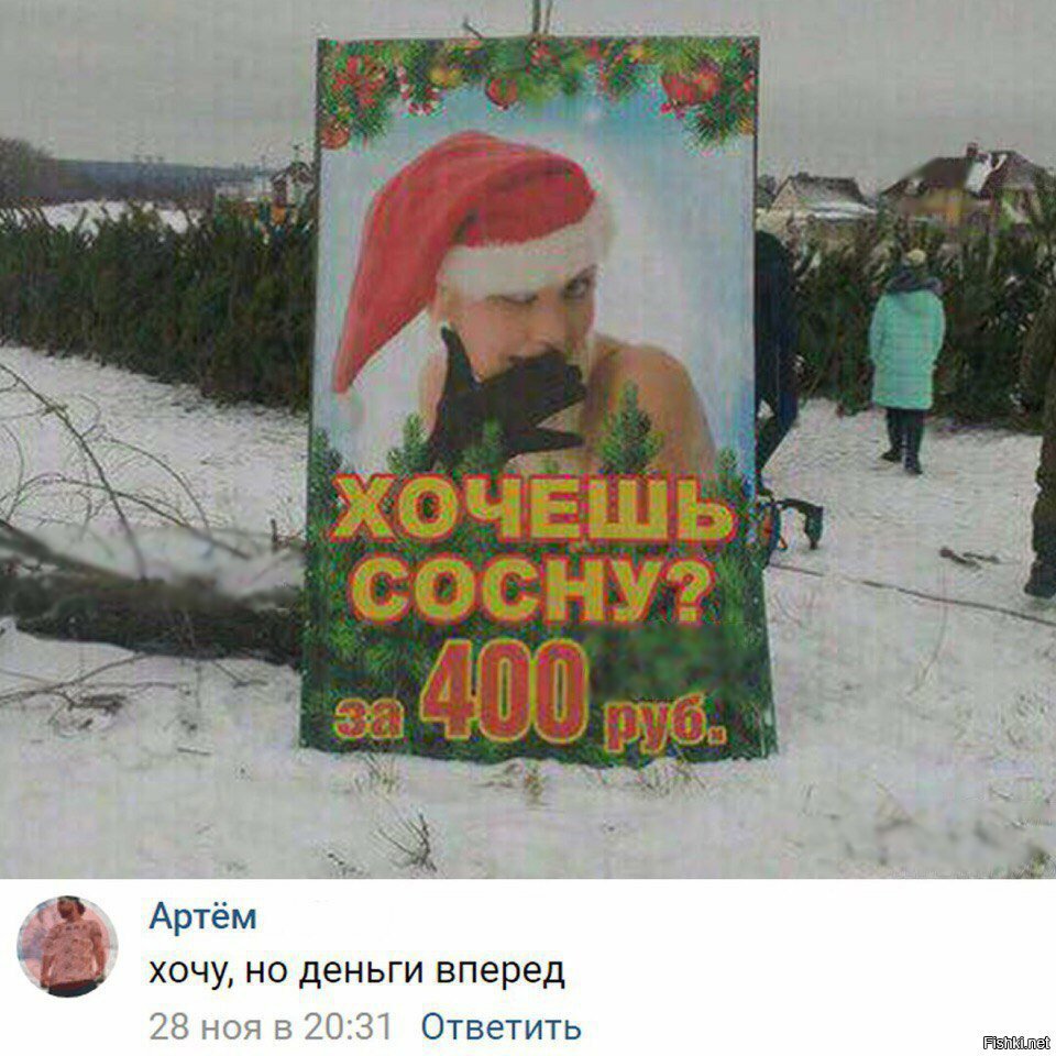 Хотите сосну?
