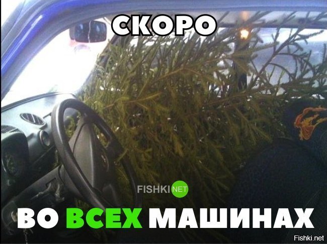 Во всех машинах страны