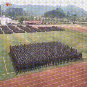 Военная шеренга