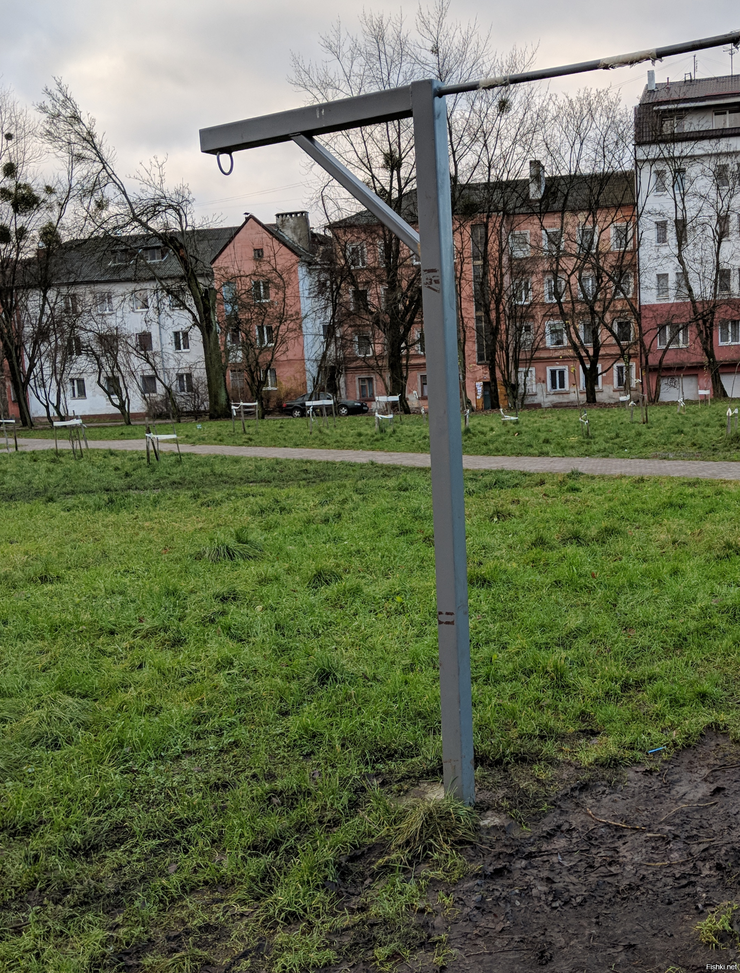 Во дворе дома установили это