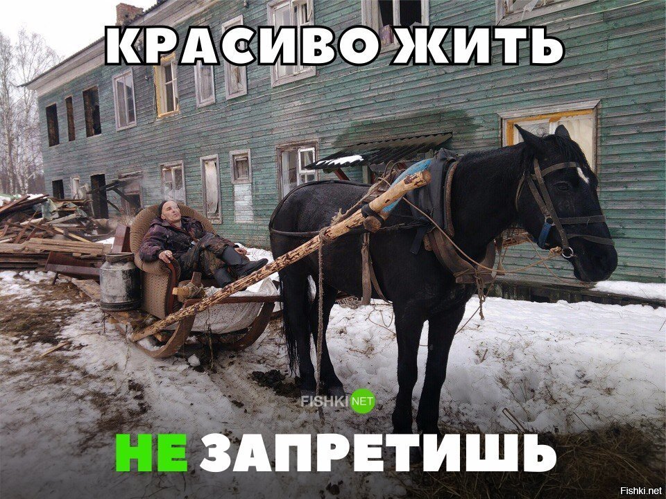 Красиво жить не запретишь