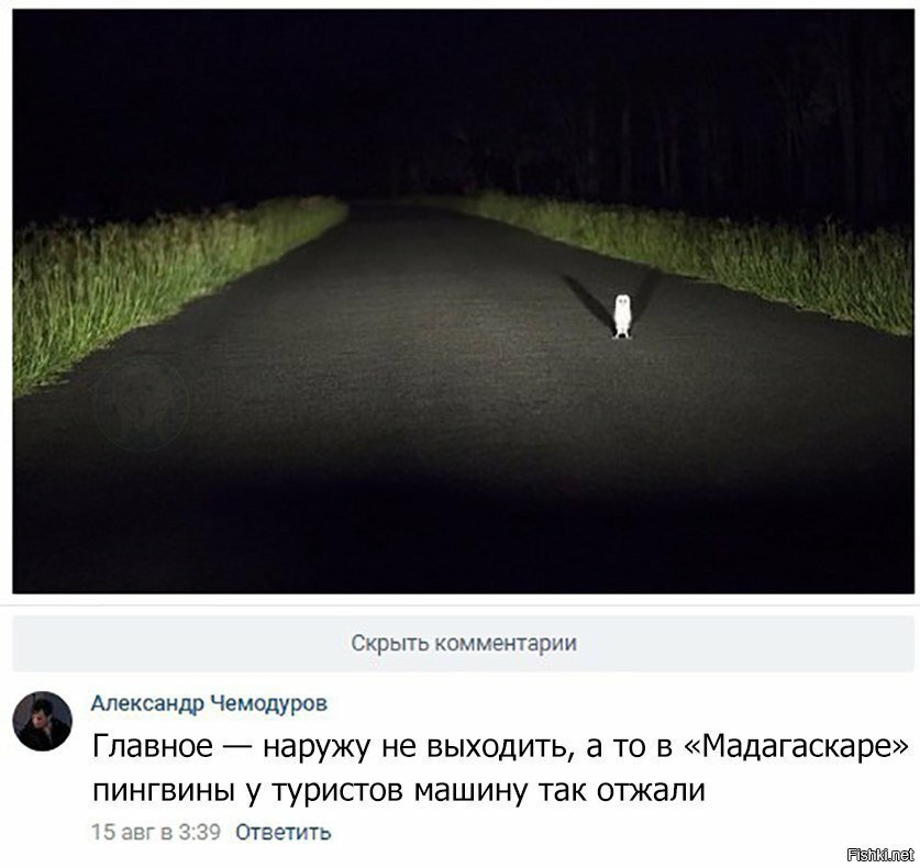 Мультики жизни учат
