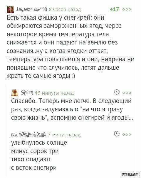 Картинка дня 22-12-2017