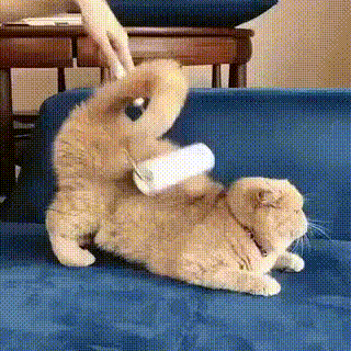 Валик для кота