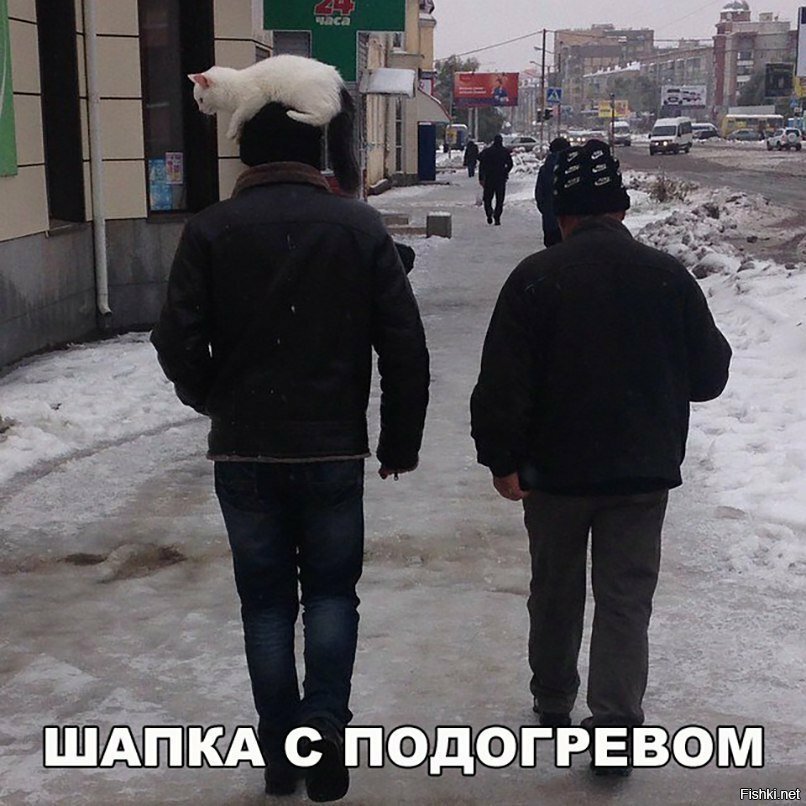Шапка с подогревом