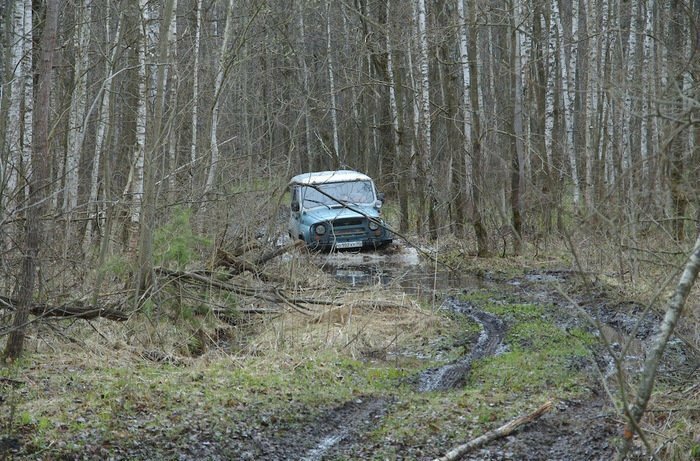 Поехали за грибами, а нашли следы применения неведомого по мощности оружия