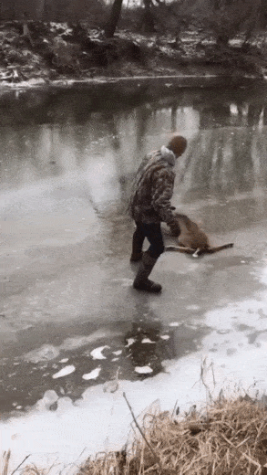 Человек в беде не бросит
