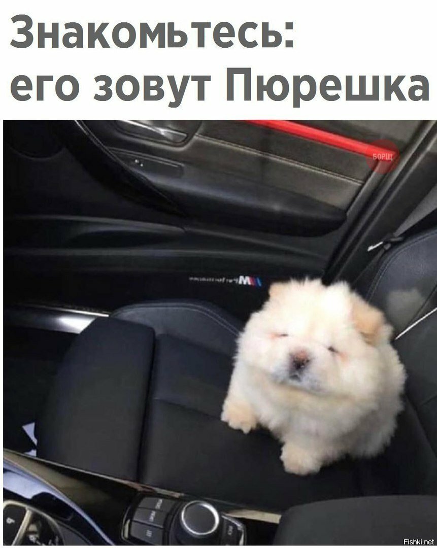 Милая пюрешка