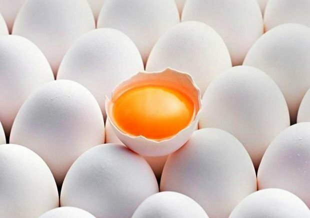 5 самых распространенных мифов о куриных яйцах