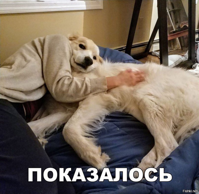 Показалось