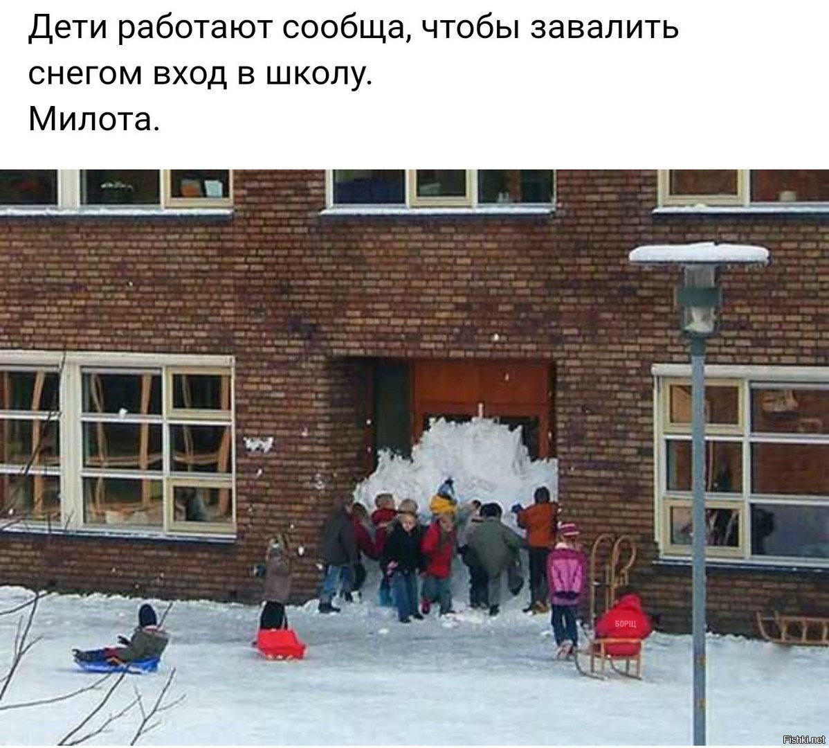 Милота