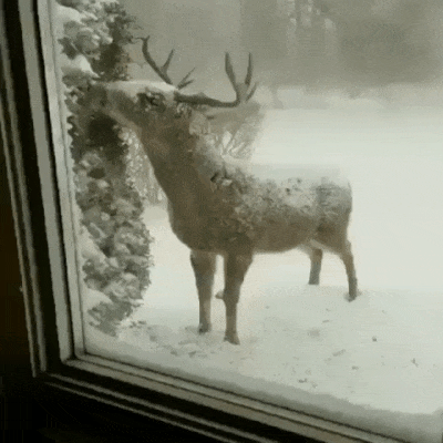 Сказочный вид из окна