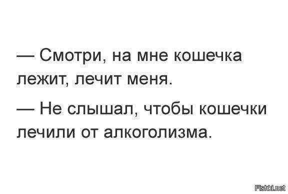 Кошечки лечат всё