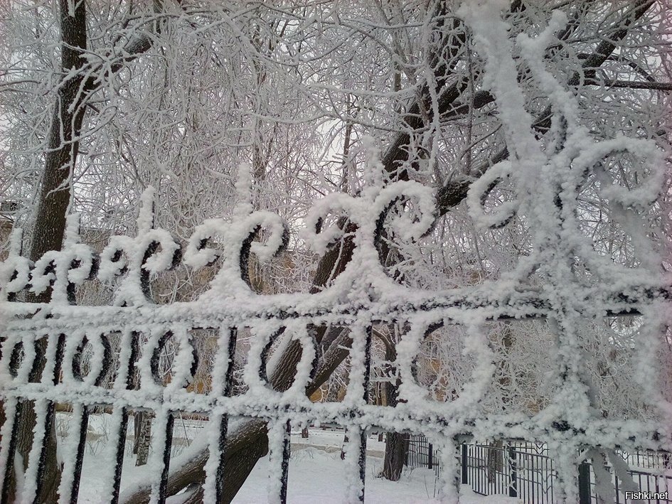 А у нас красотища на улице
