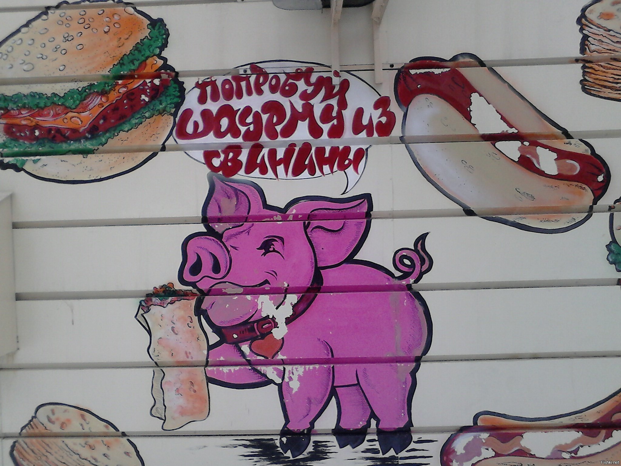 Свинья рекламирующая шаурму из свинины 