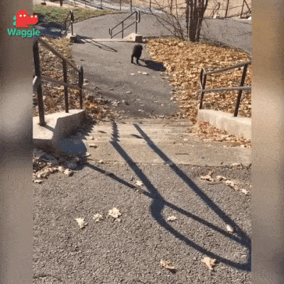 И компания не нужна