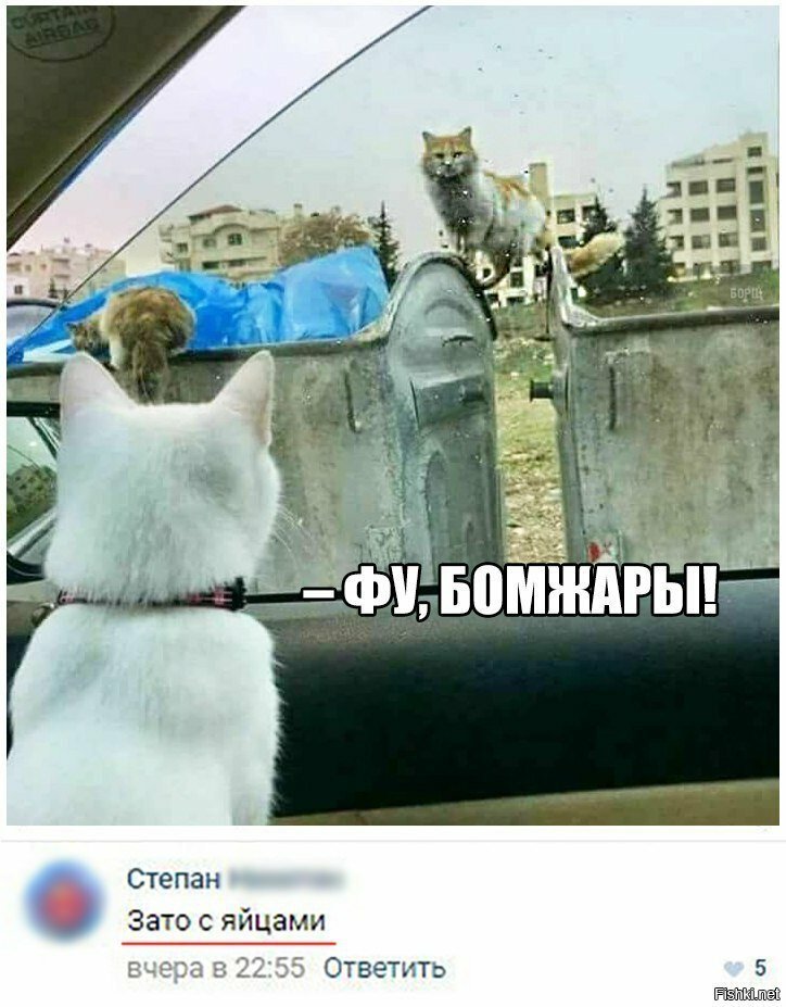 Зато с яйцами