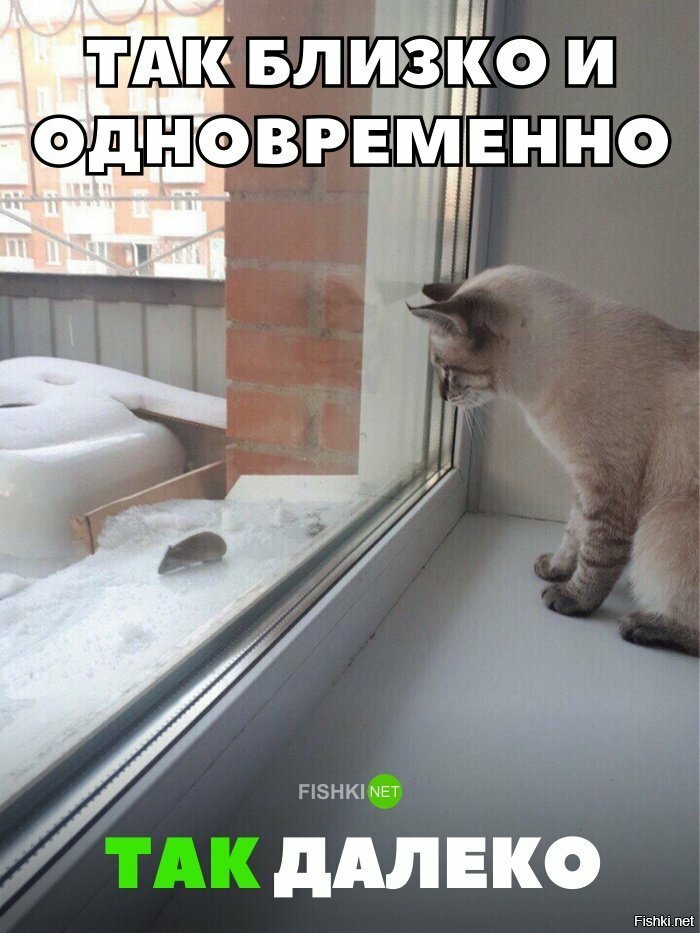 Так близко и так далеко